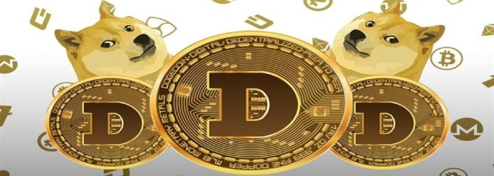 How Dogecoin Works